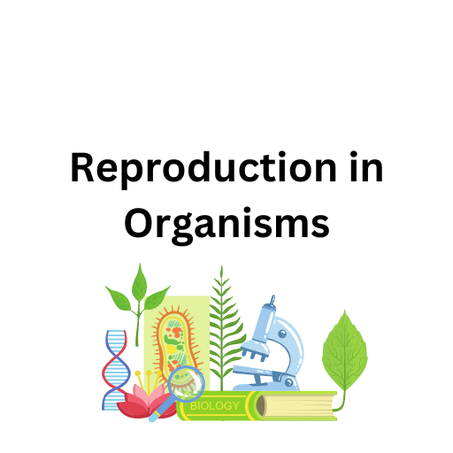 Reproduction in Organisms